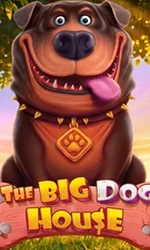 The Big Dog House